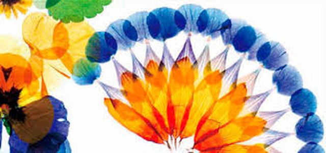 1406732482imagesZTN1HSJE [640x480]